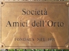 orto-2